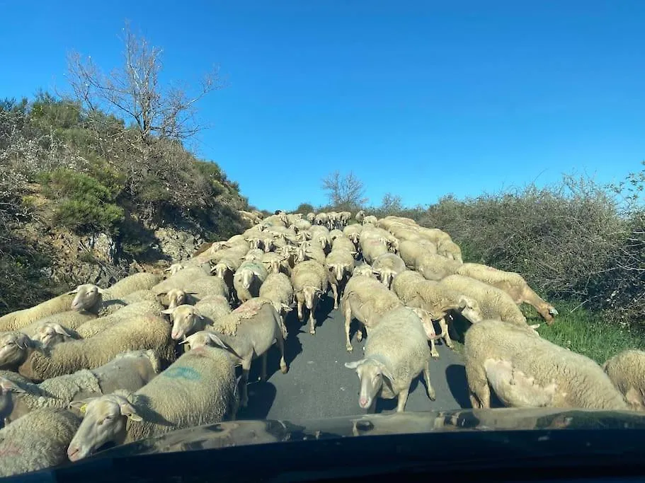 Gite Les Voutes Du Chambon Blassac
