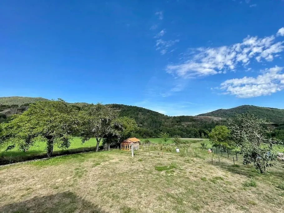 Gite Les Voutes Du Chambon Blassac Holiday home