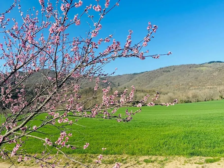 Holiday home Gite Les Voutes Du Chambon Blassac France