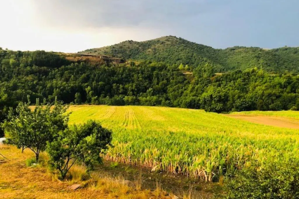 Gite Les Voutes Du Chambon Blassac